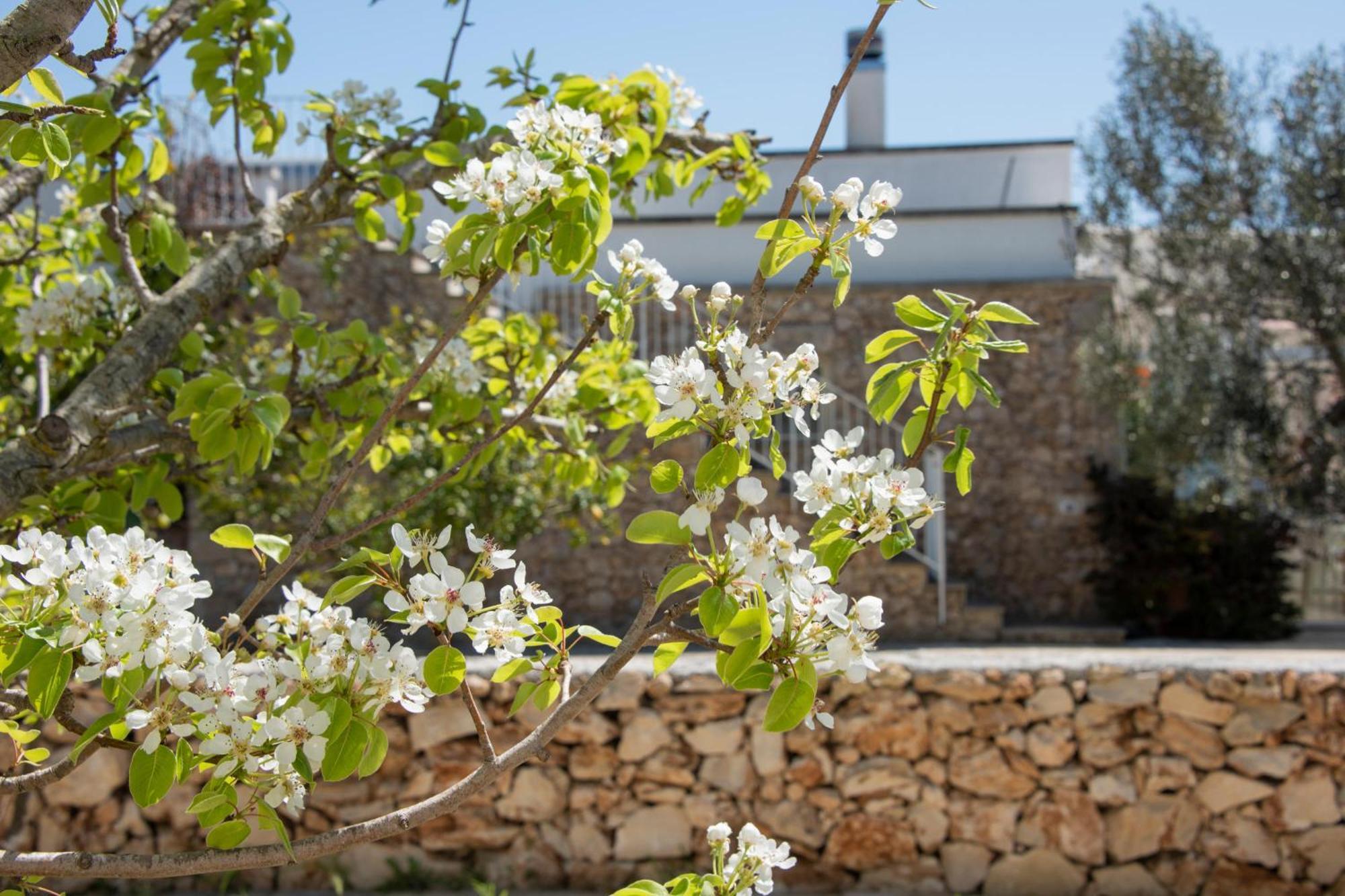 Masseria Agriturismo Faresalento Gallipoli Exterior photo